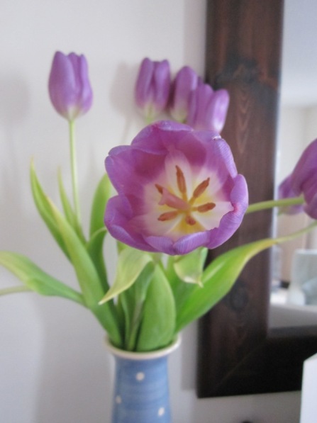 Floppy tulips ©The House of Jones