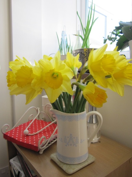 Sunny daffodils ©The House of Jones