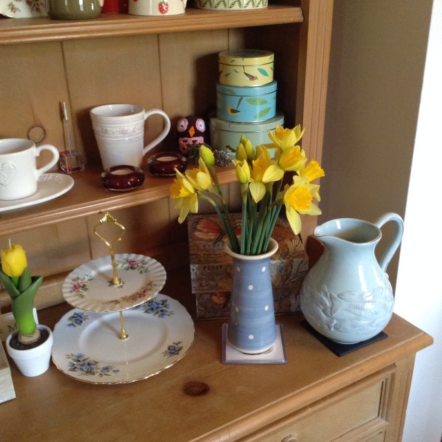 Daffodils opening, on the dresser ©The House of Jones
